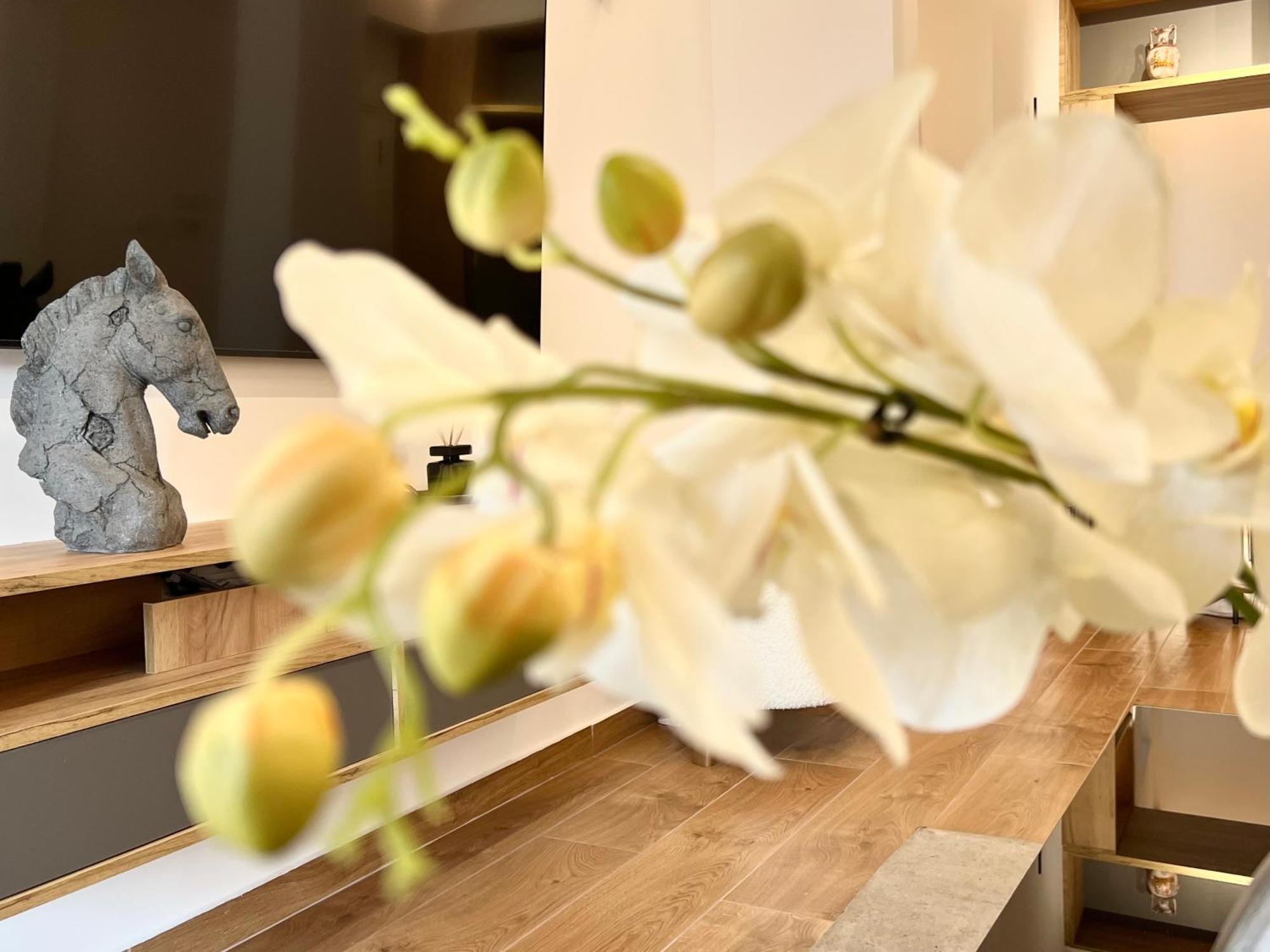דירות אתונה Acropolis Golden View Penthouse מראה חיצוני תמונה